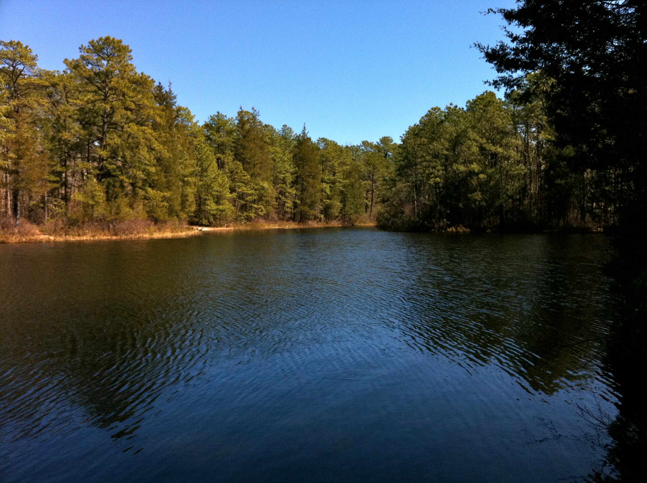 Bass River Cabins
