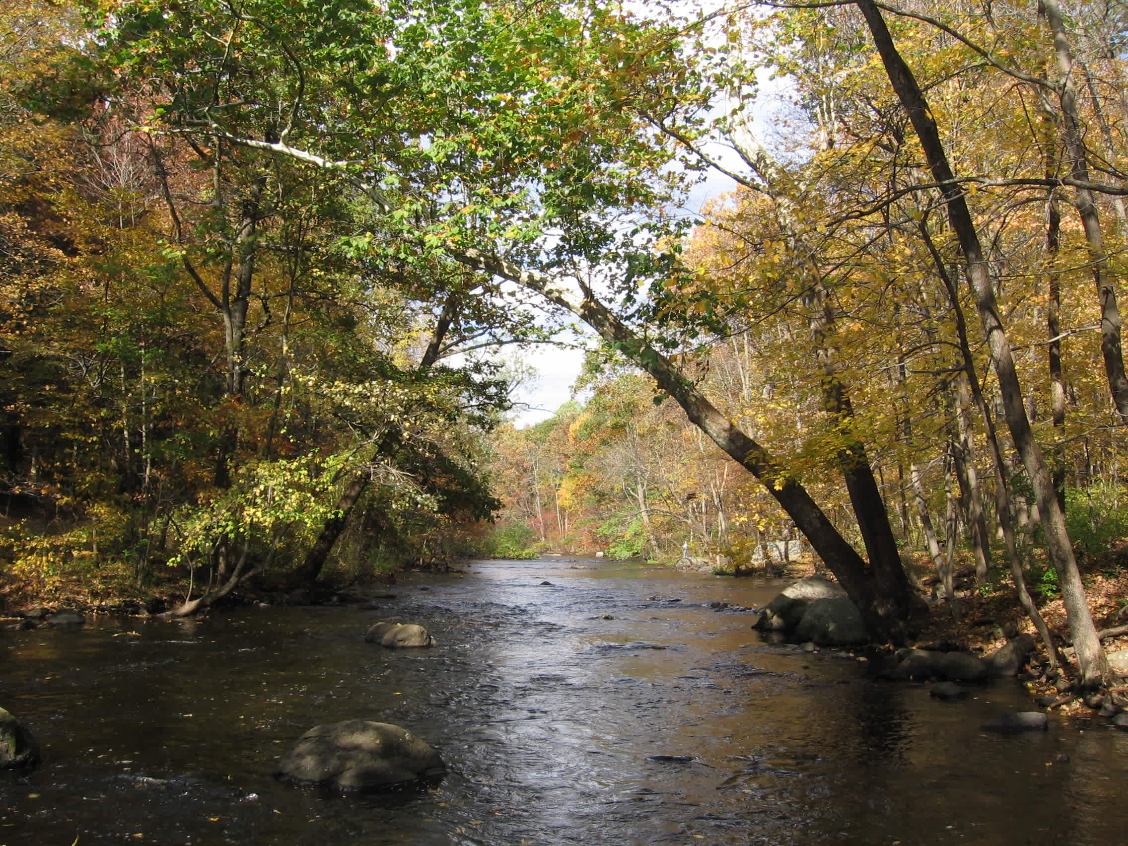 Stephens State Campground