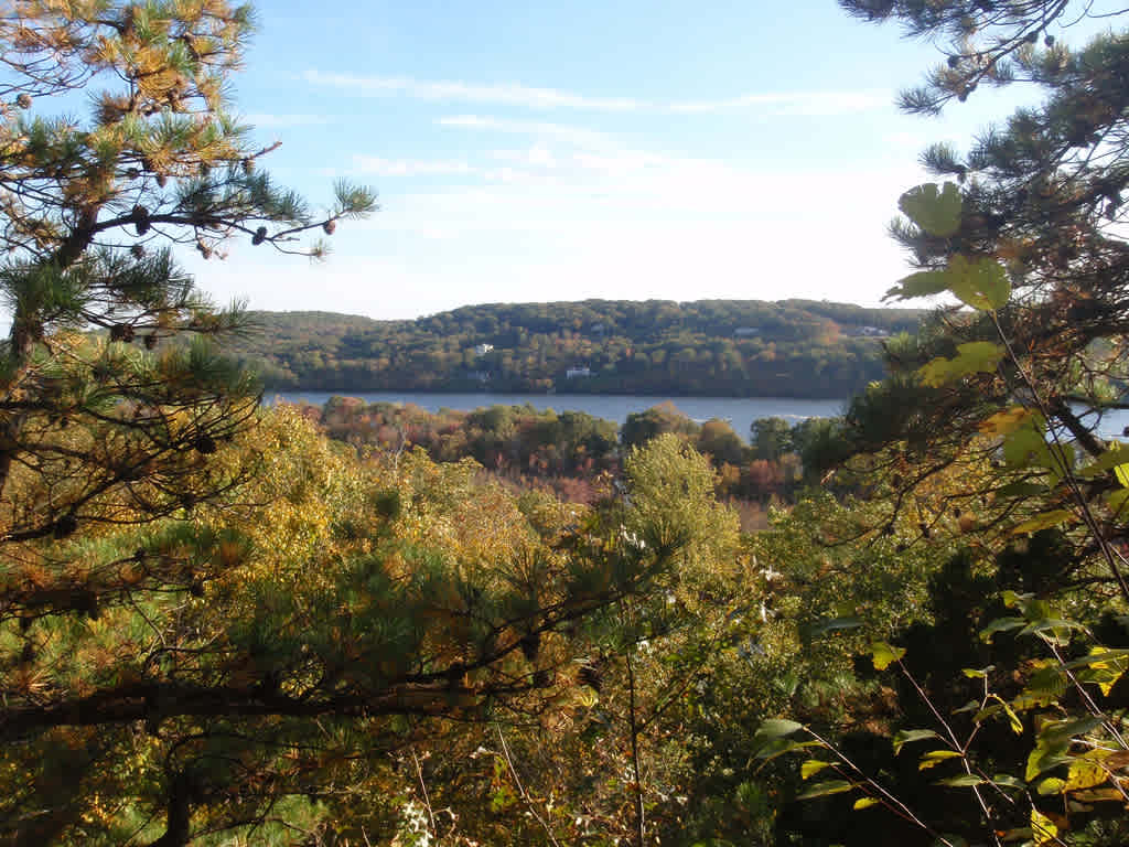 Springledge Camp Area