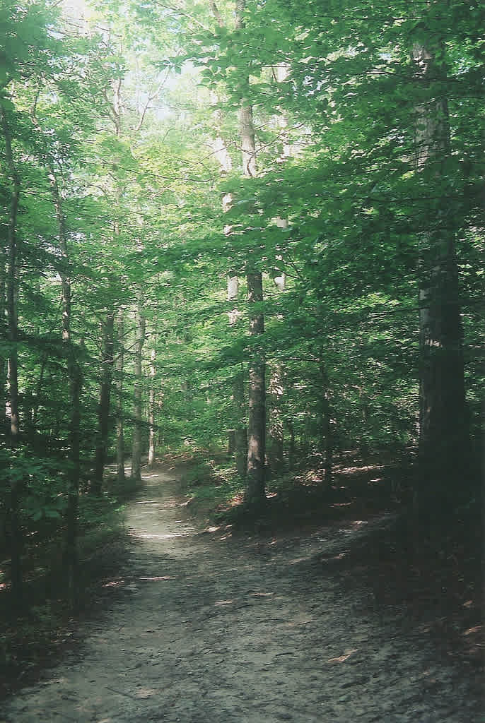 Killens Pond Campground