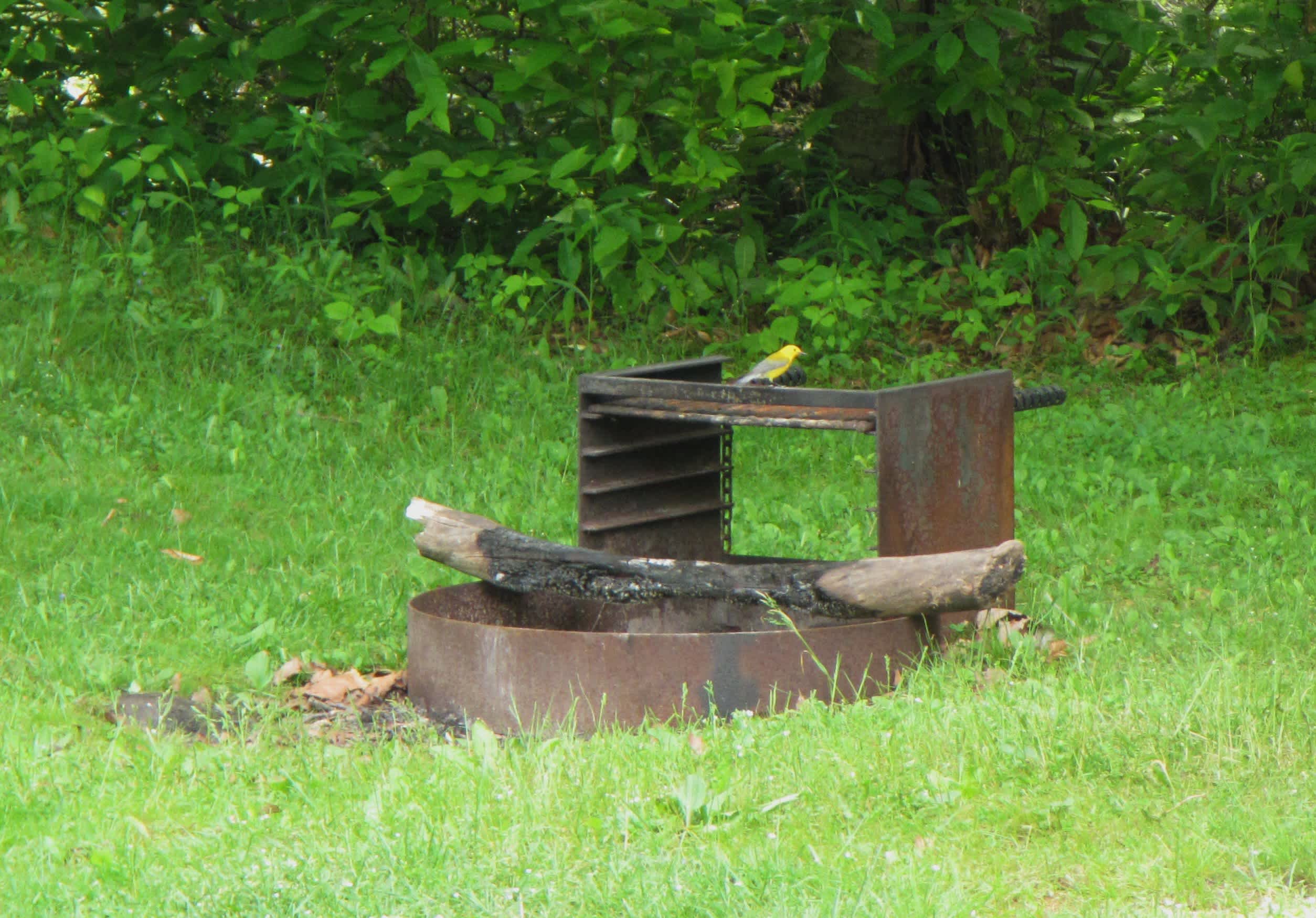 Big Run Campground