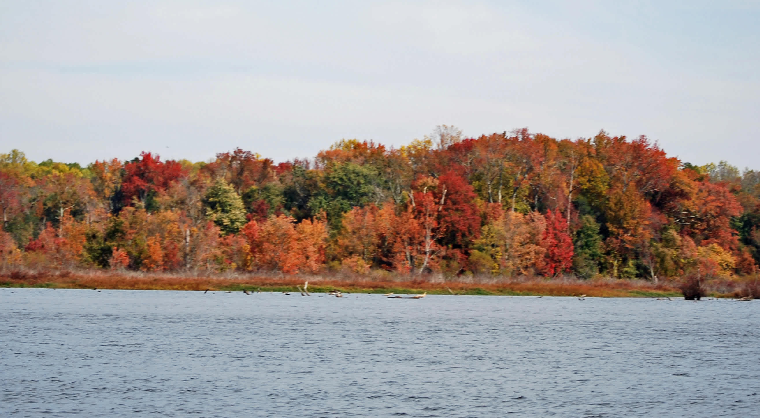 Tuckahoe Campground