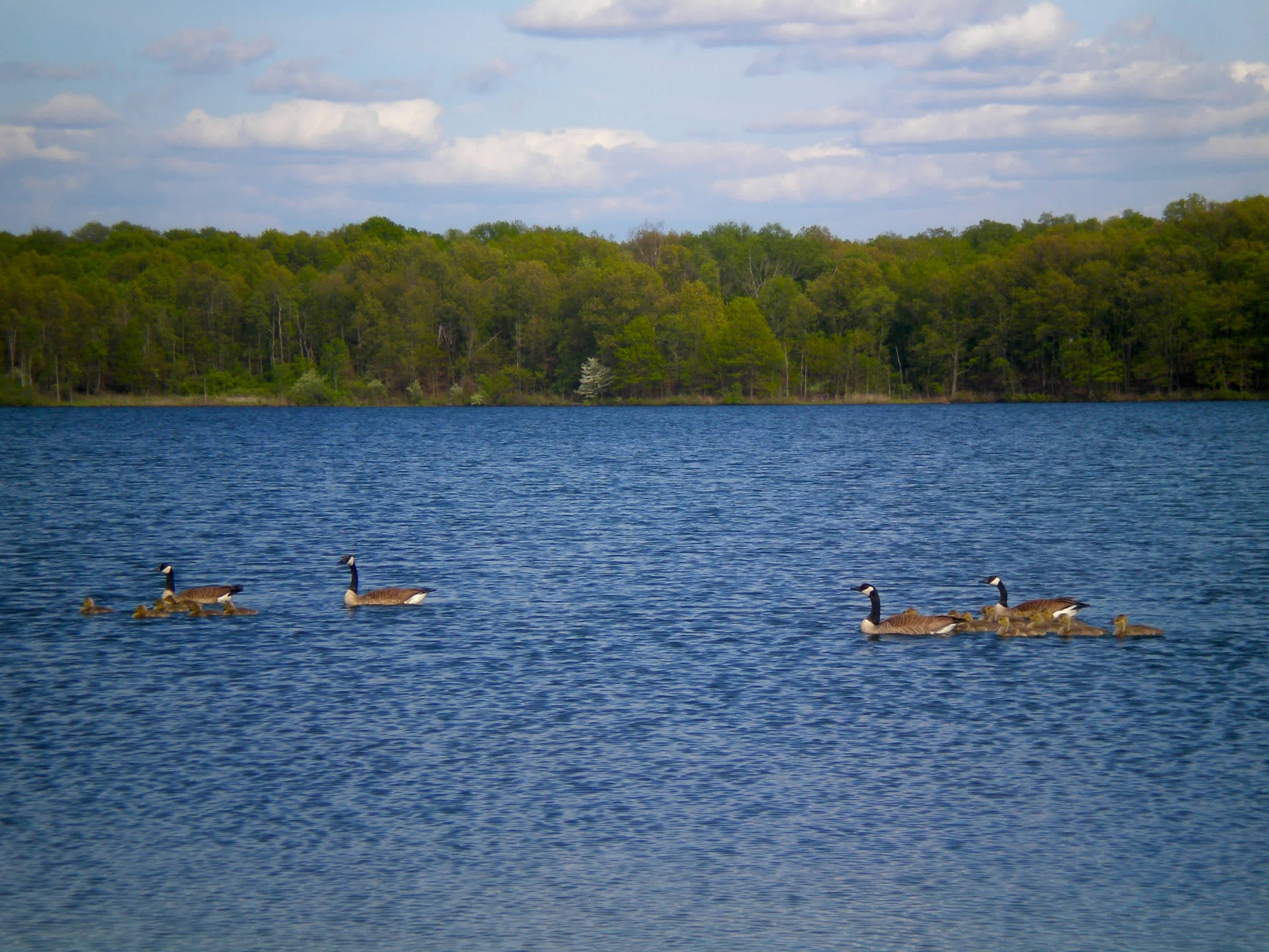 Fort Custer Campground