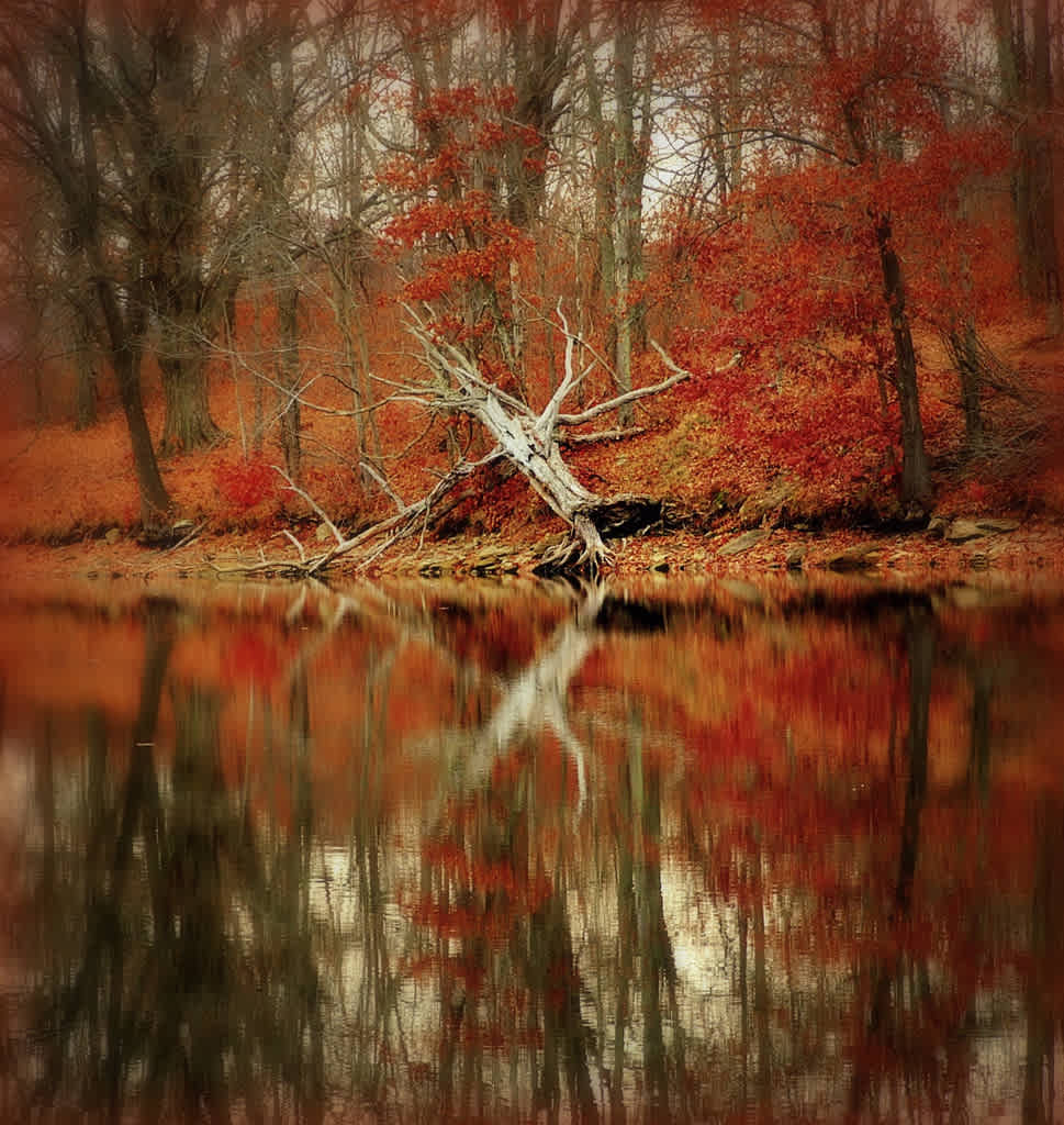 Wolf Run Campground