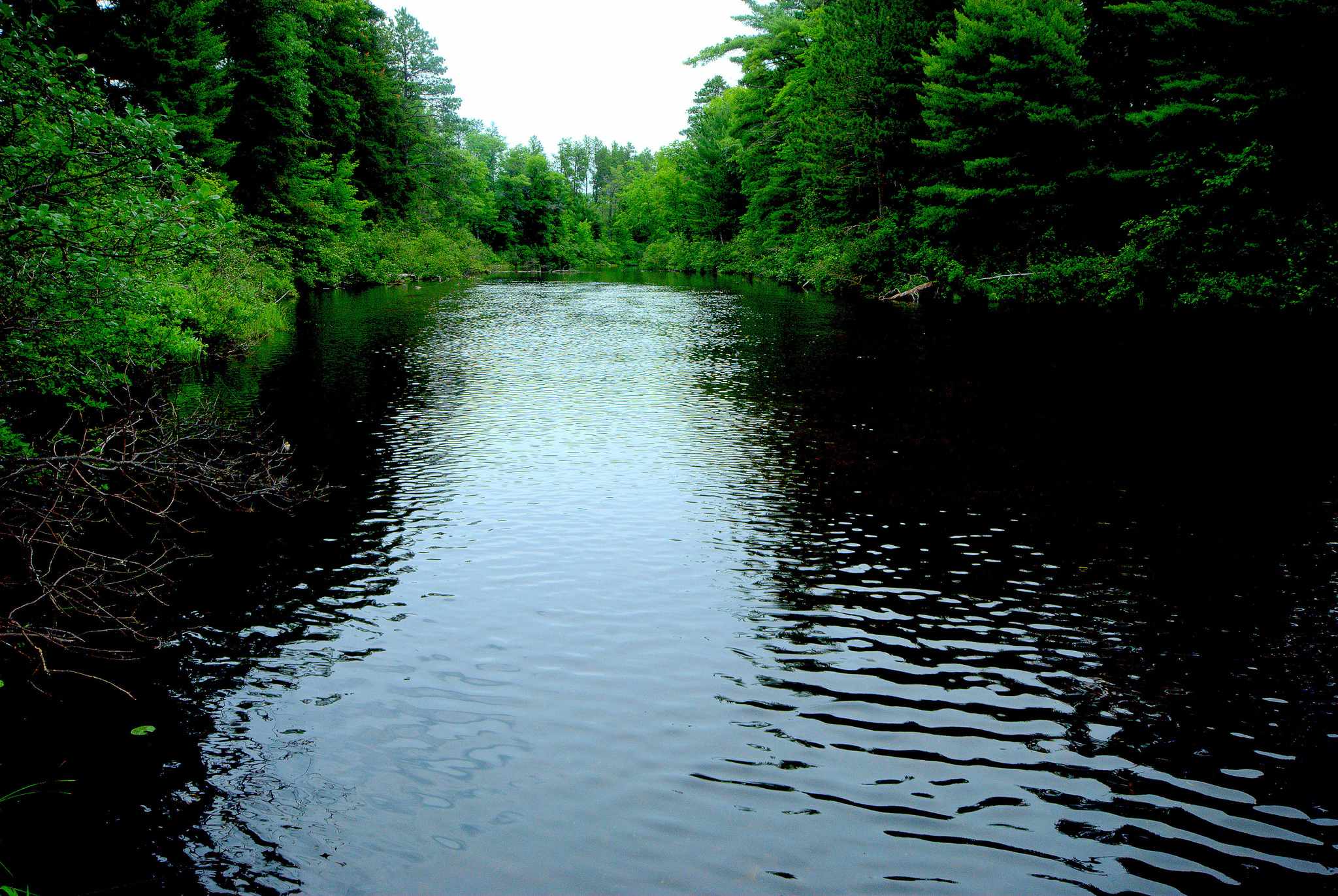 Buffalo Lake Campground