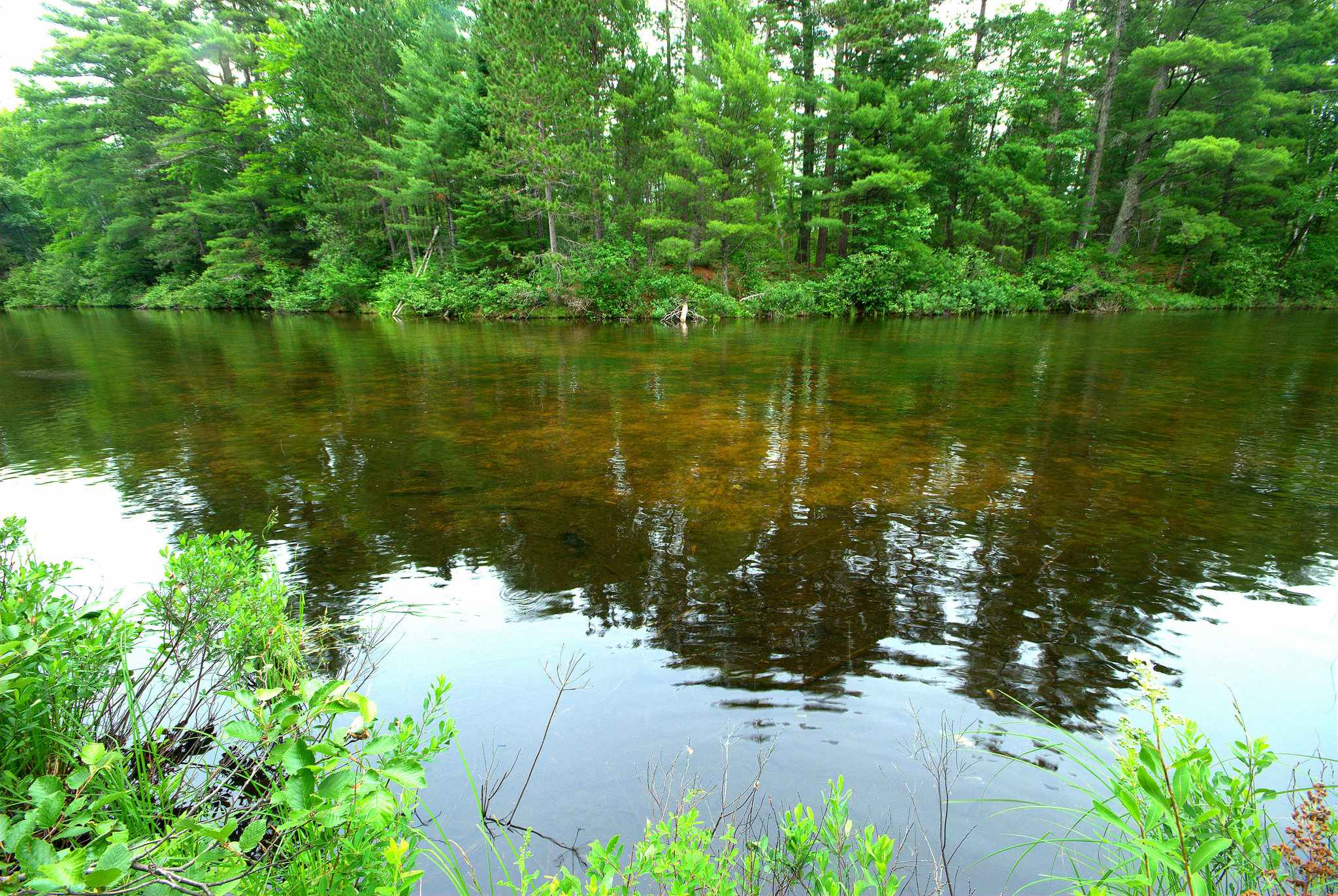 Clear Lake Campground