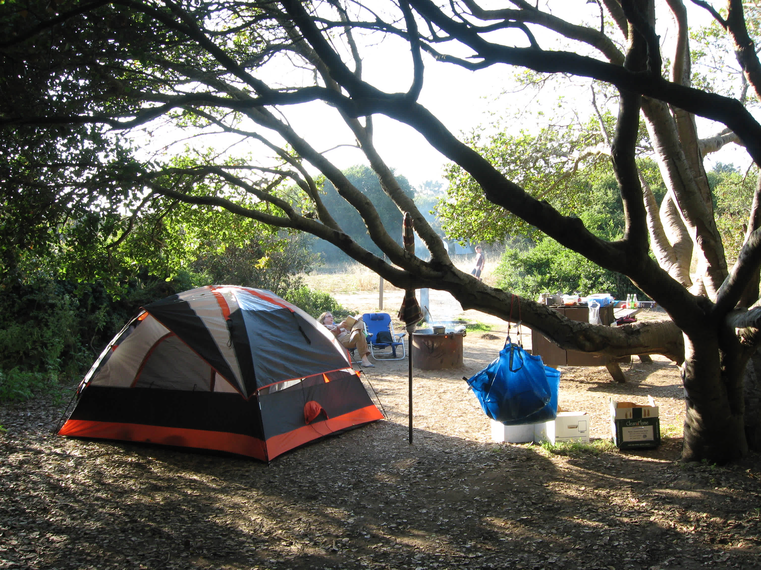 Lupine Camps