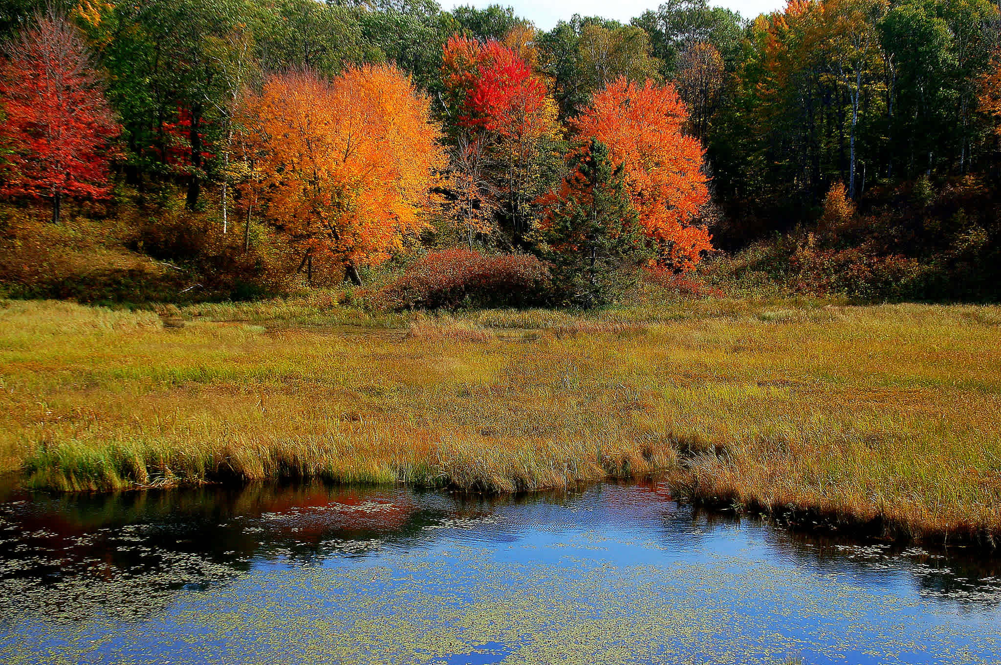 Ogechie Campground
