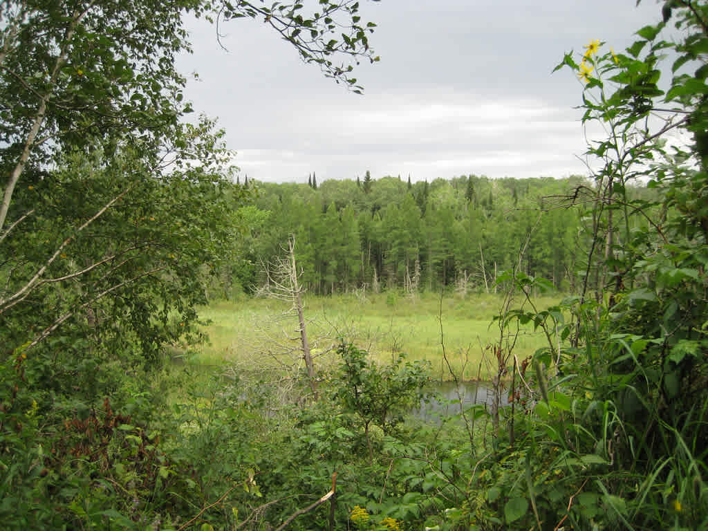 Star Island Trail