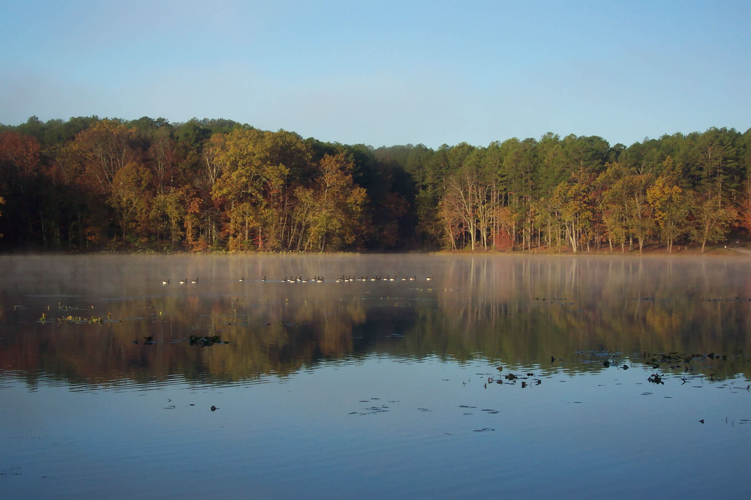 Dixon Springs Campground
