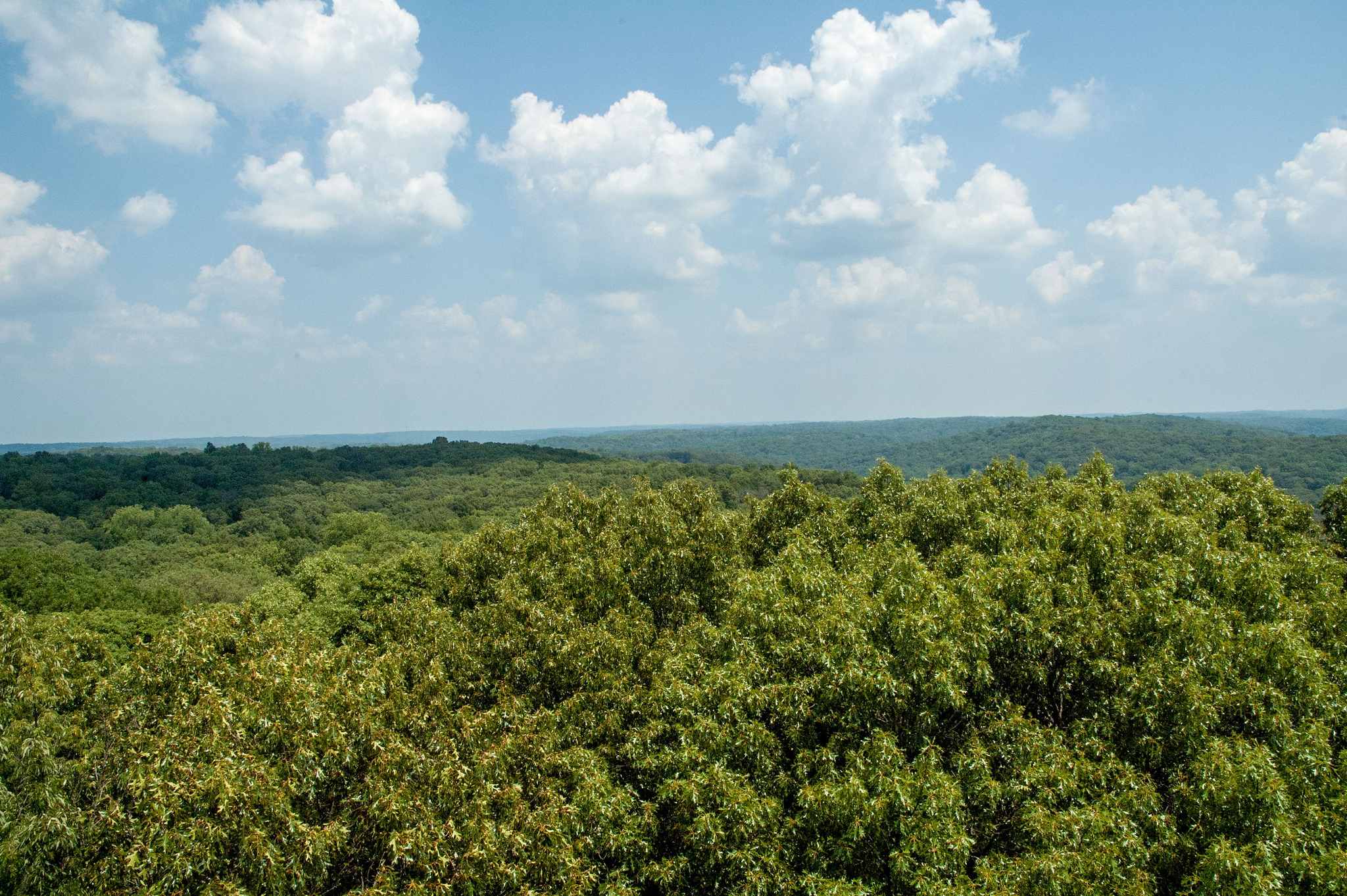 Martin Campground