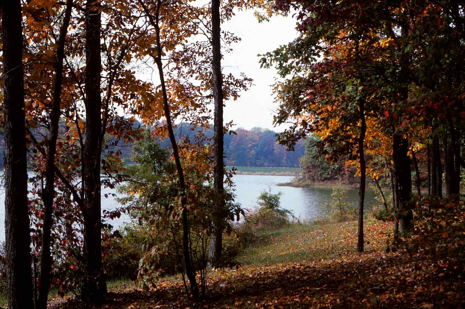 Shakamak Campground