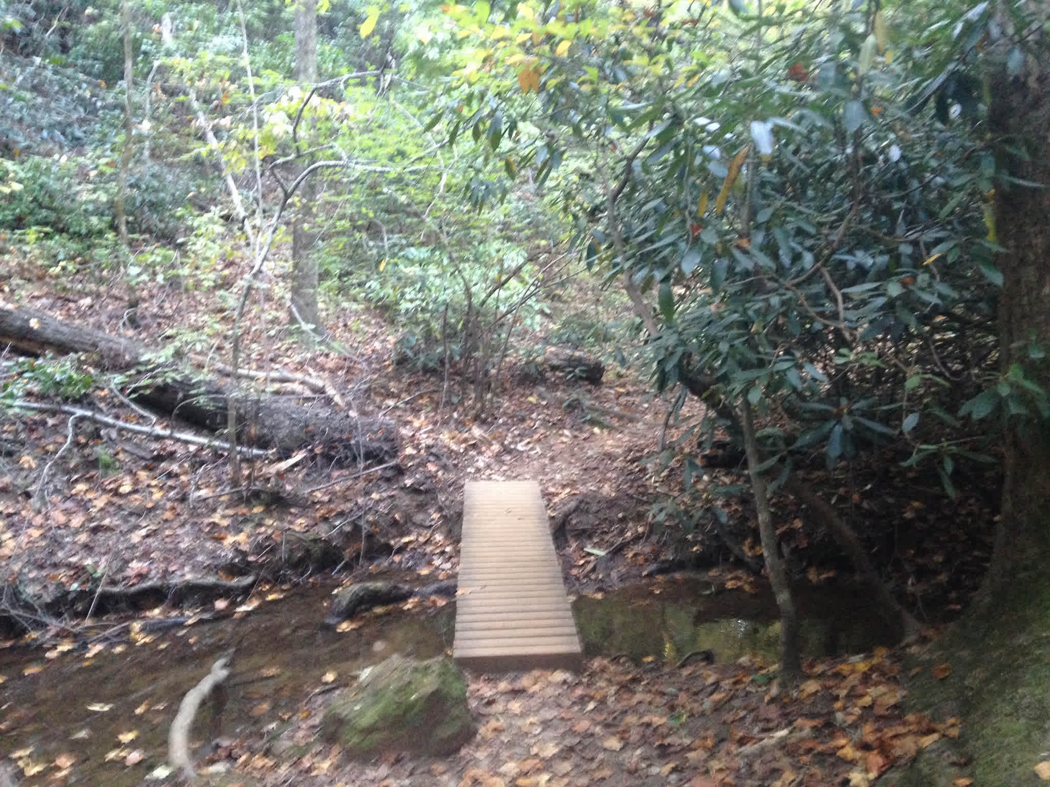 Paris Mountain Campground