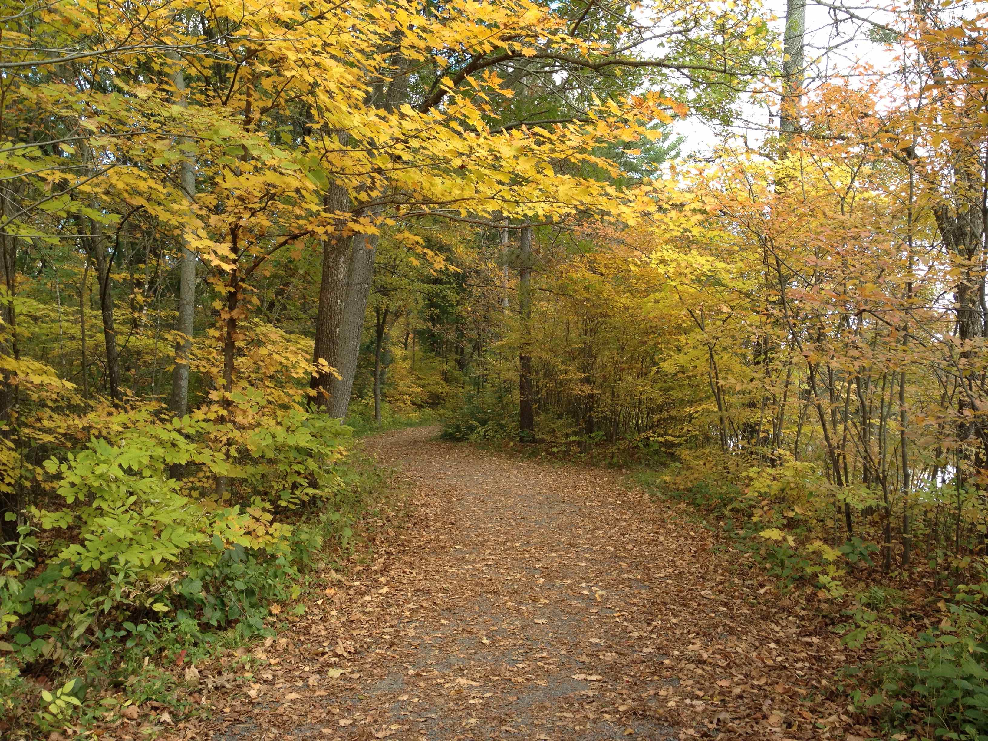 Savanna and Riverway Campground