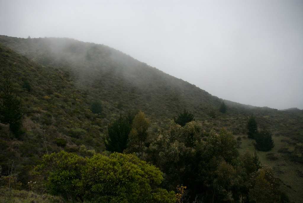 Polipoli Campground