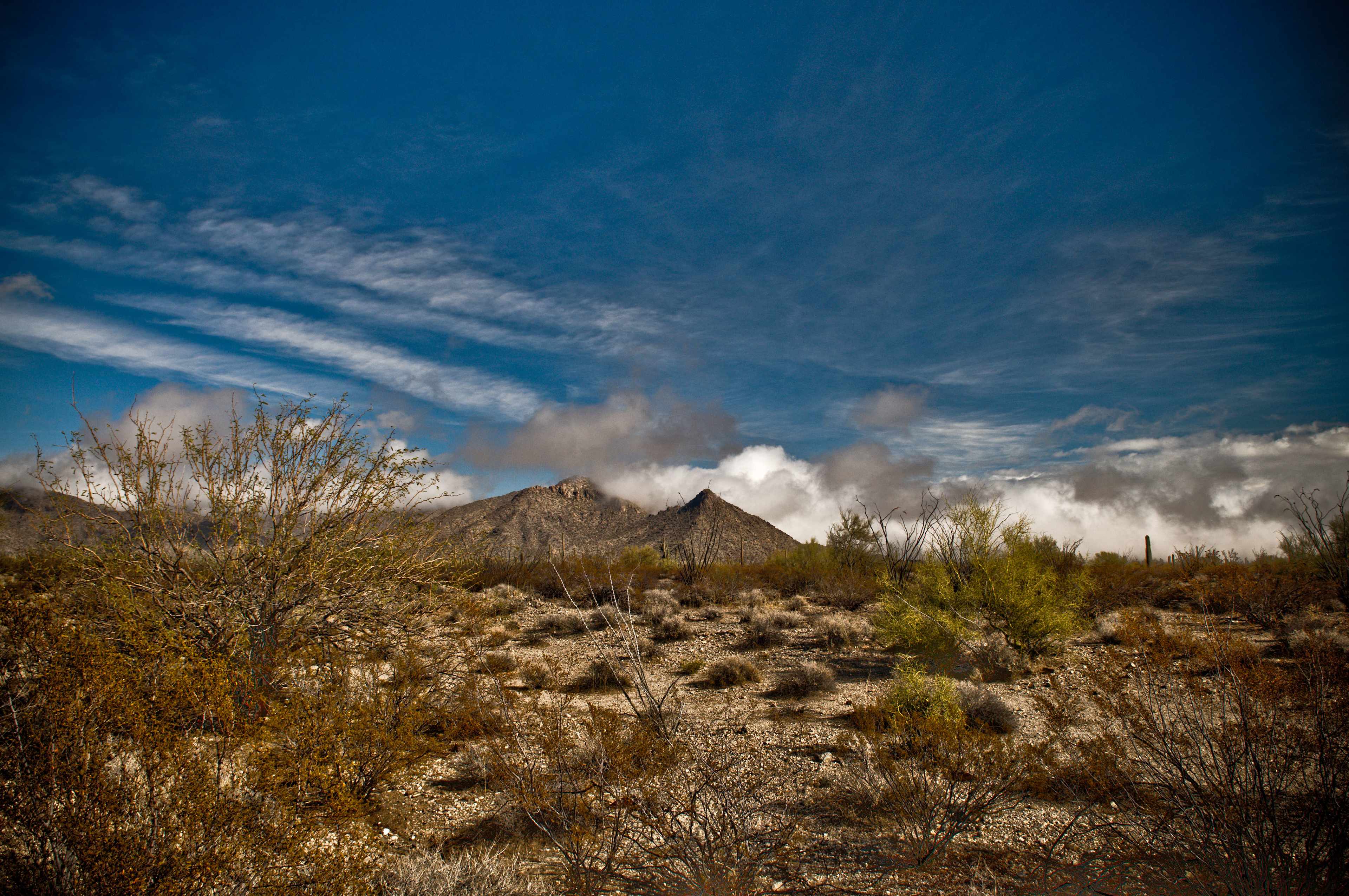 Alamo Lake Campground