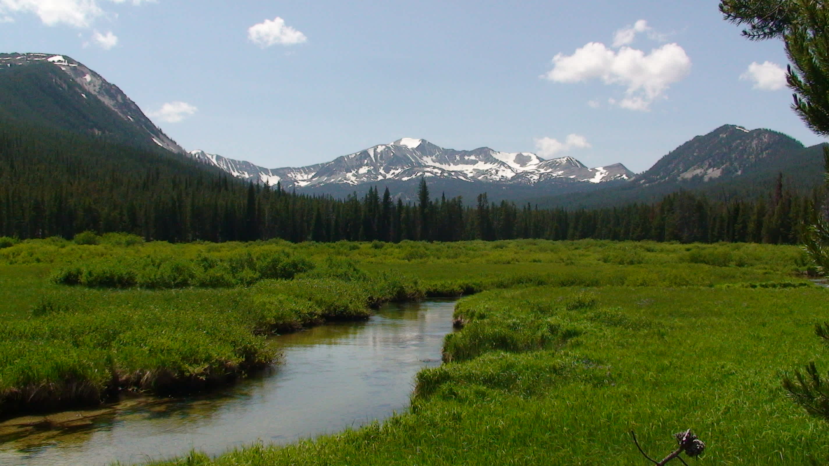 Elk Lake Campground and Picnic Area