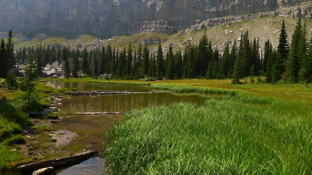 Double Falls Campground