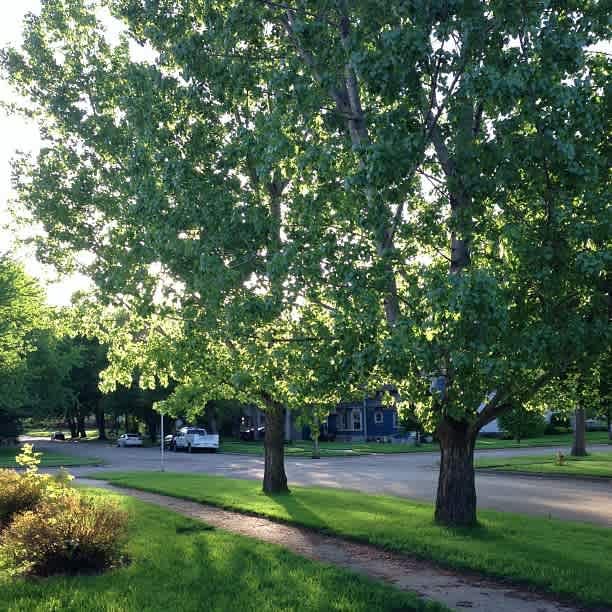 Cottonwood Springs Campground