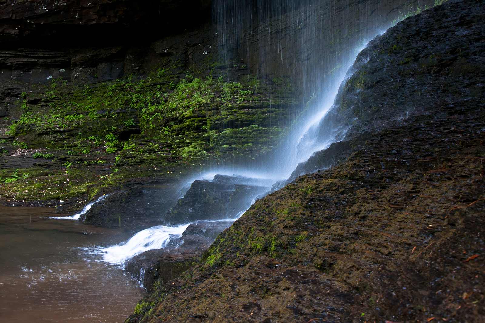 Cloudland Canyon State Park Campground