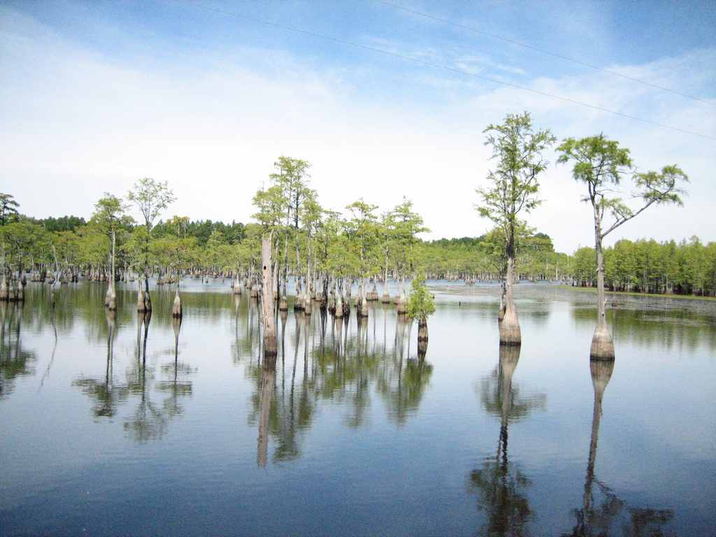 George L. Smith State Park Campground