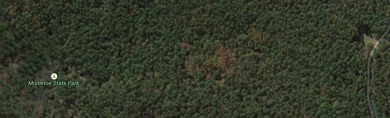 Mistletoe State Park Campground