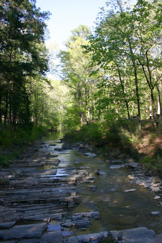 Dogwood Campground