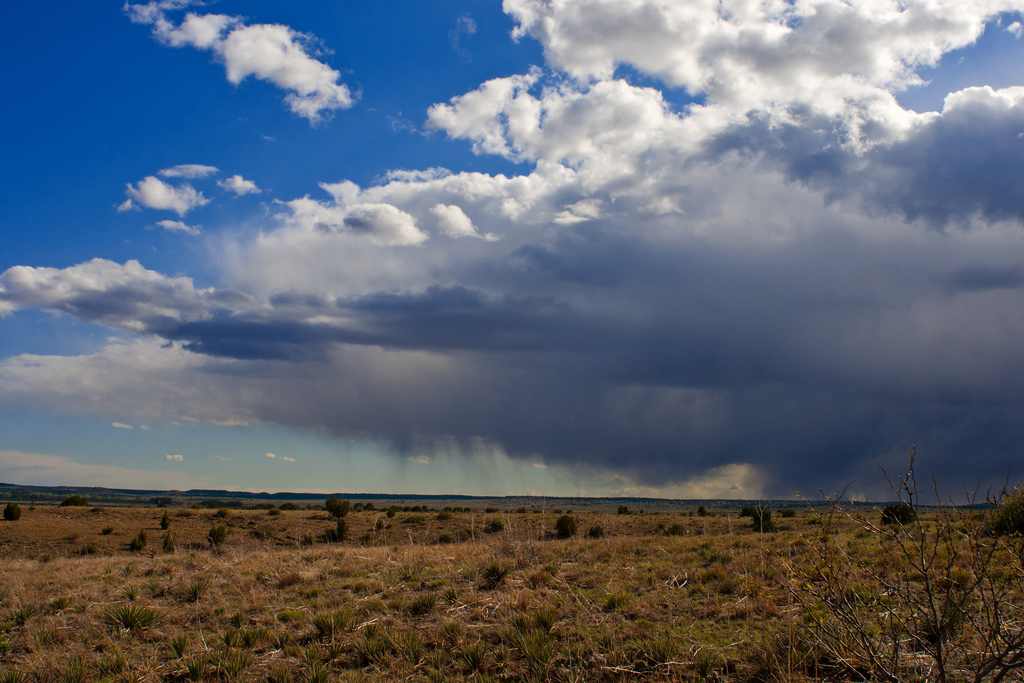 Black Mesa Campground