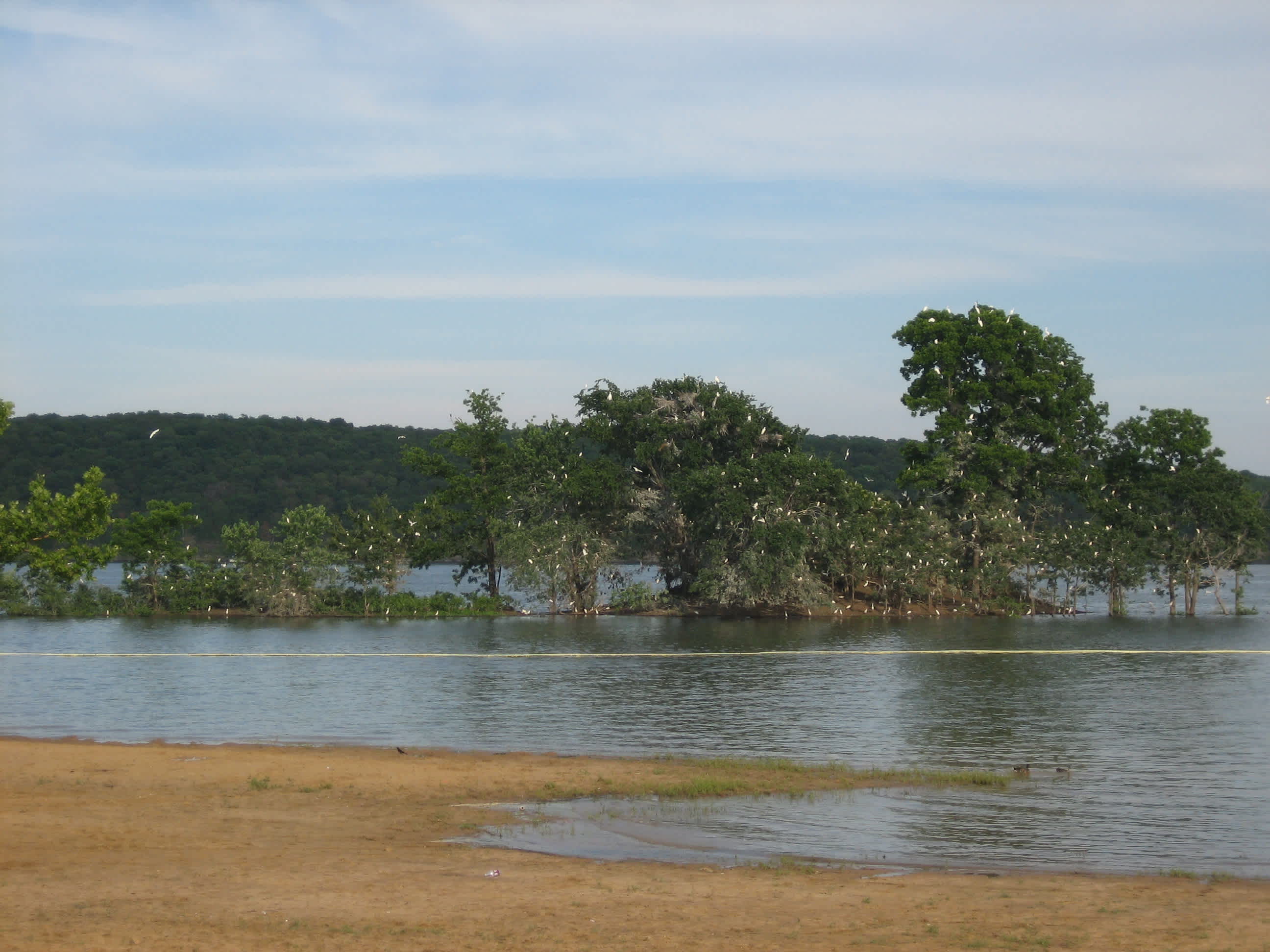 Blue Bill Point Campground