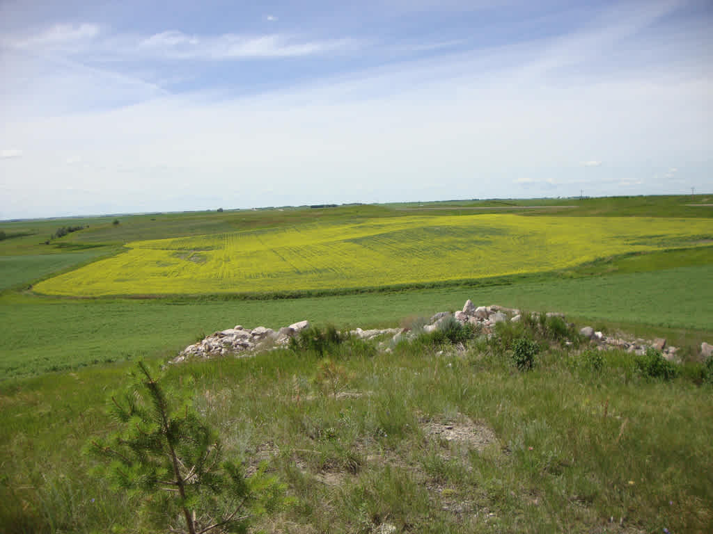 Dakota Prairie Grasslands