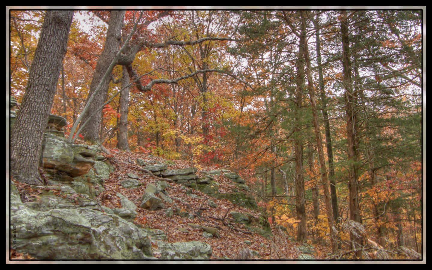 Graham Cave Campground
