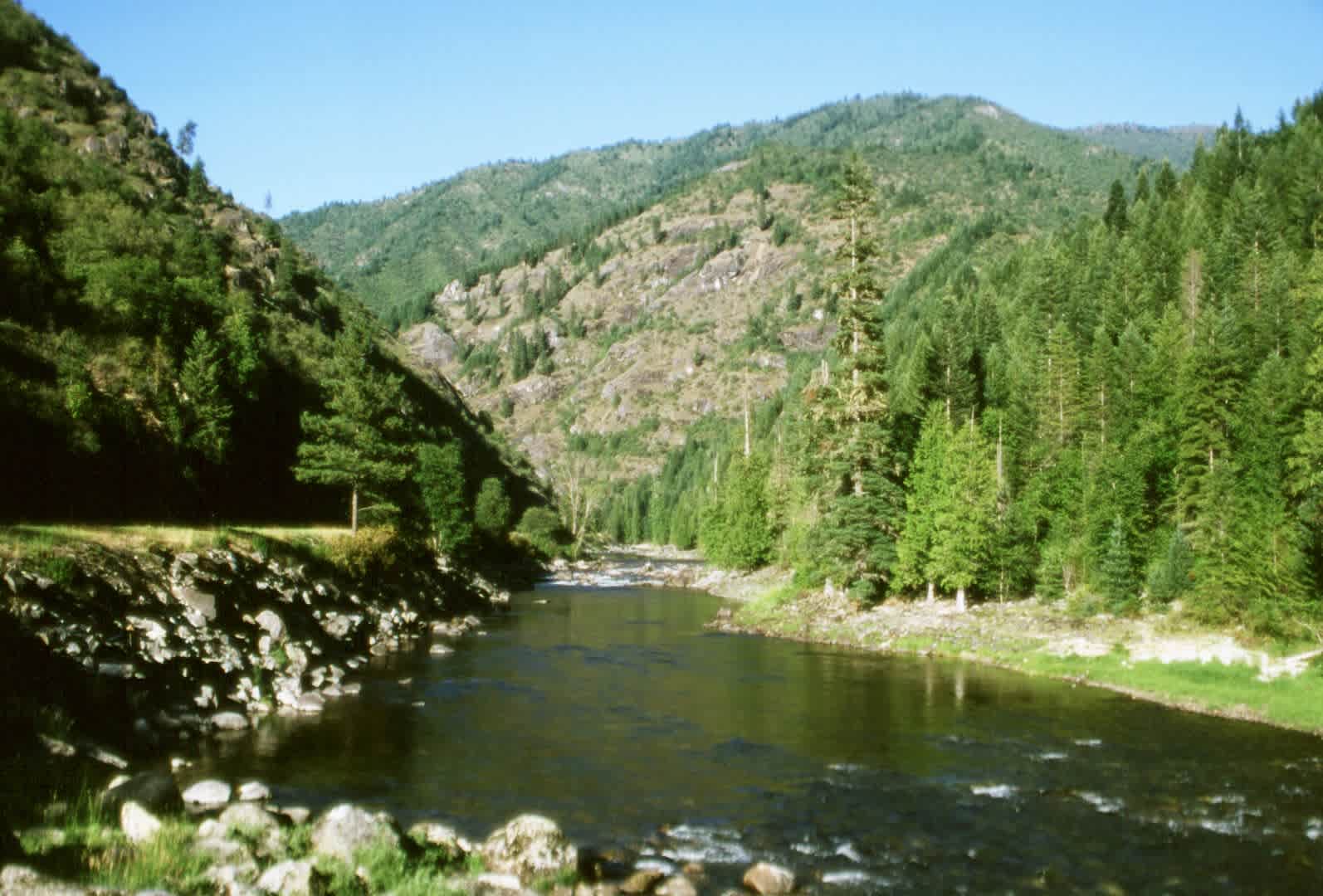 Nez Perce-Clearwater National Forests