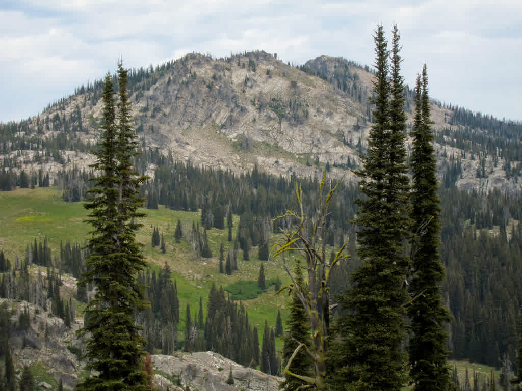 Ponderosa Campground