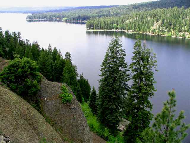 Ponderosa Campground