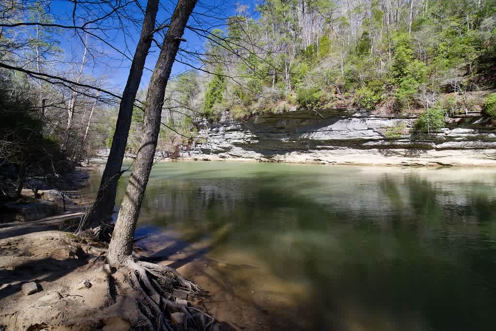 Bankhead National Forest
