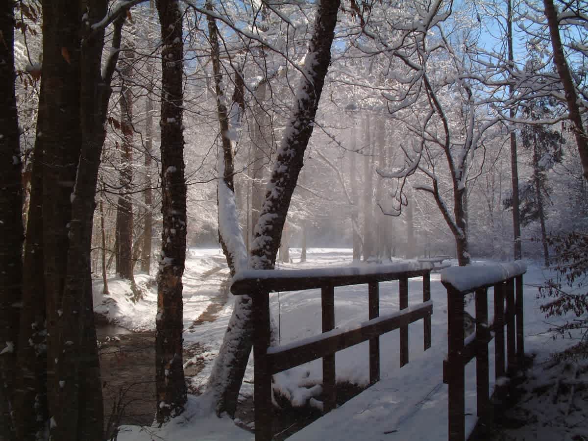Kanawha Campground