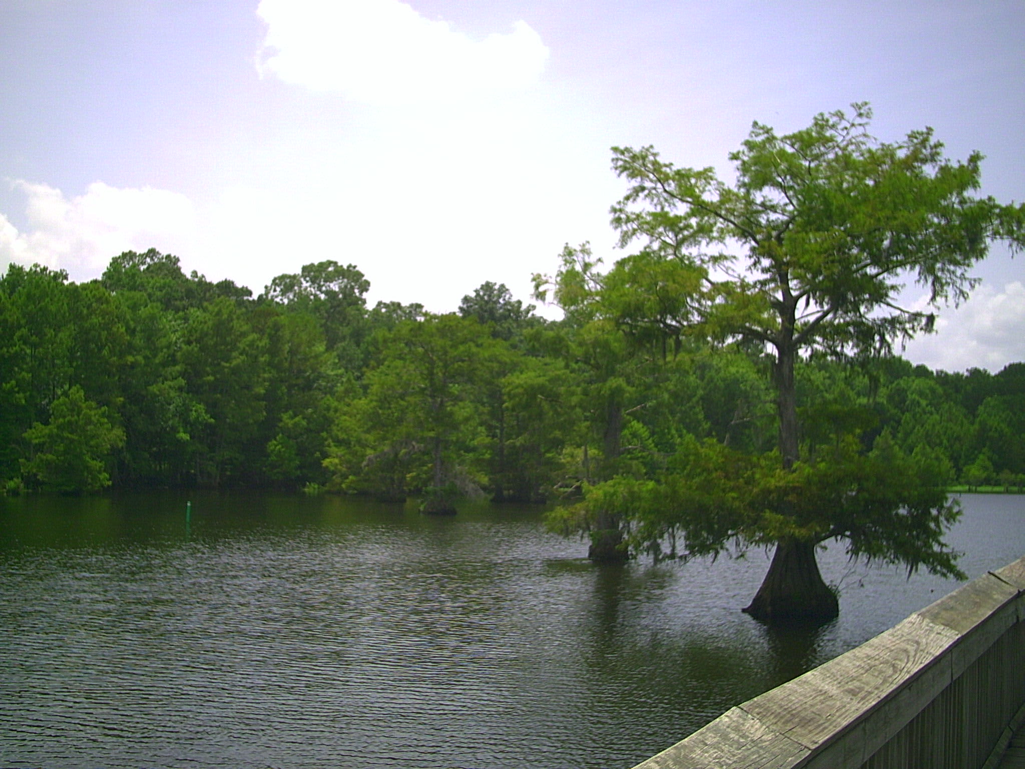 Chicot Campground