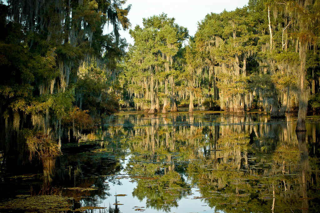 Lake Bistineau Campground