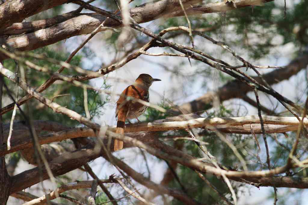 Tombigbee Campground
