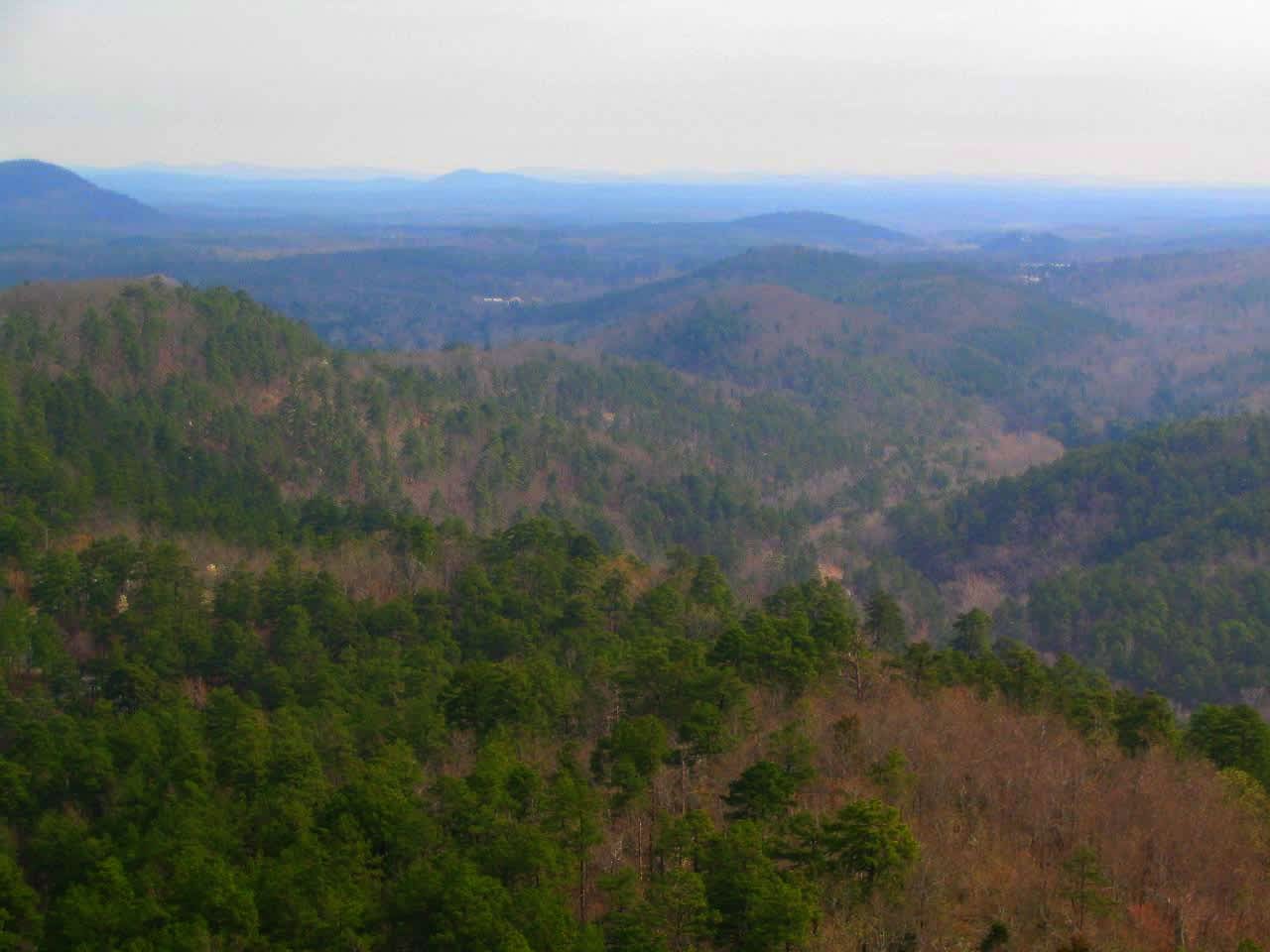 Ouachita National Forest