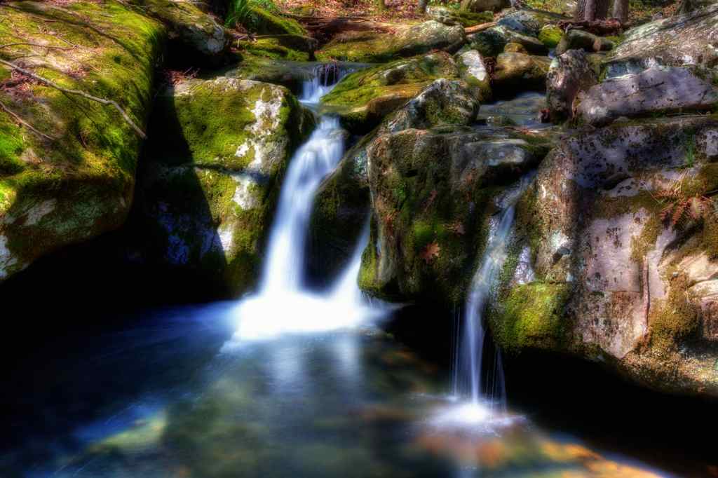 Tar Campground