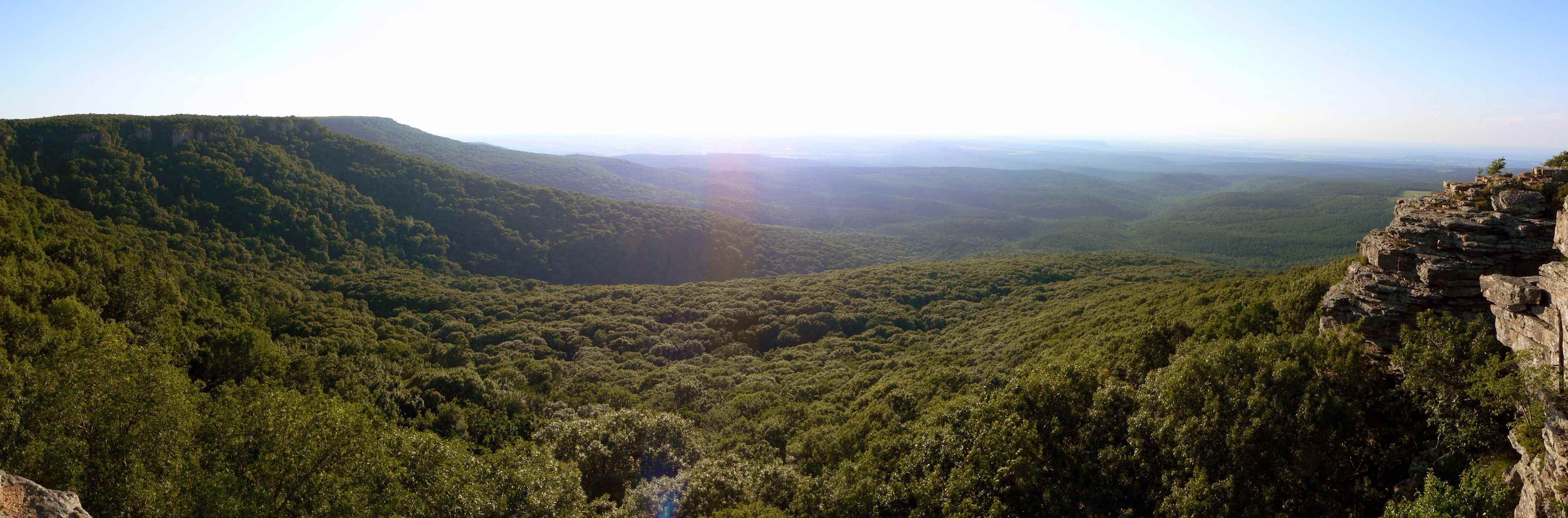 Cameron Bluff Campground