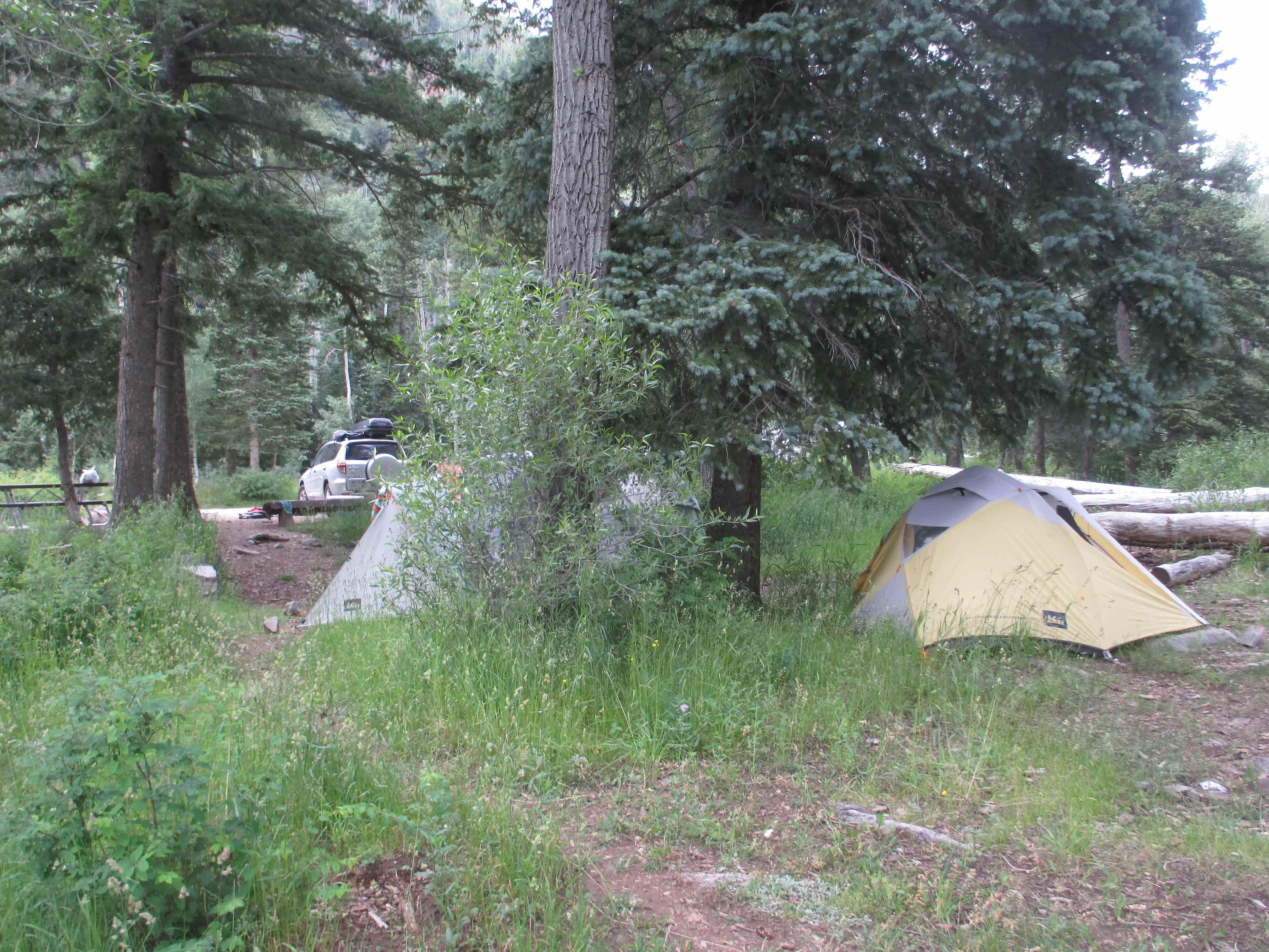 Campsite #4