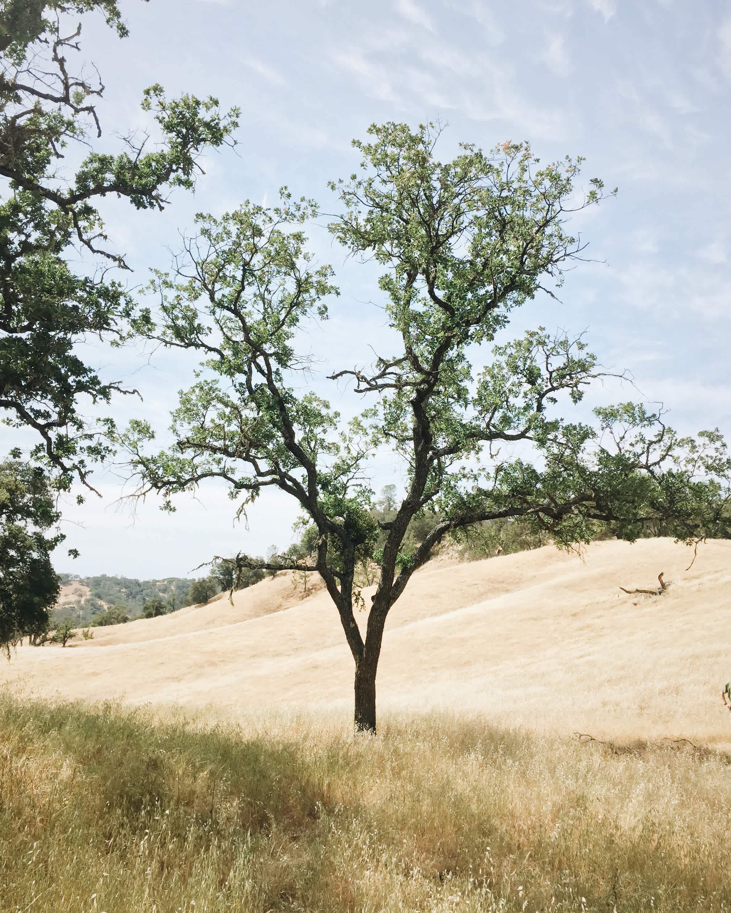 Santa Margarita Lake Recreation Area