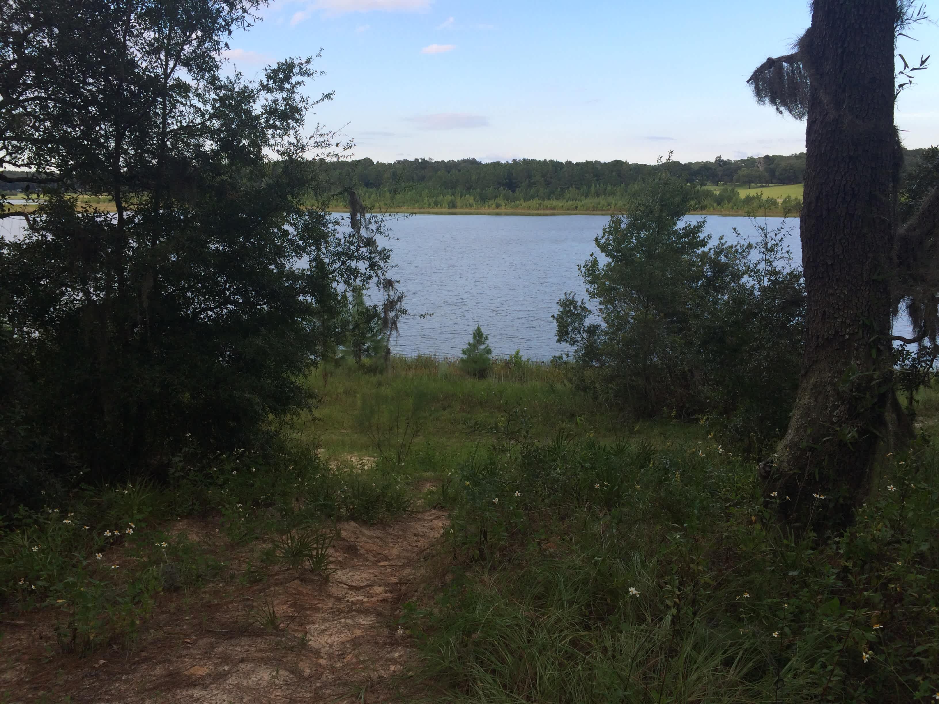 Little Lake Bryant Primitive Campground