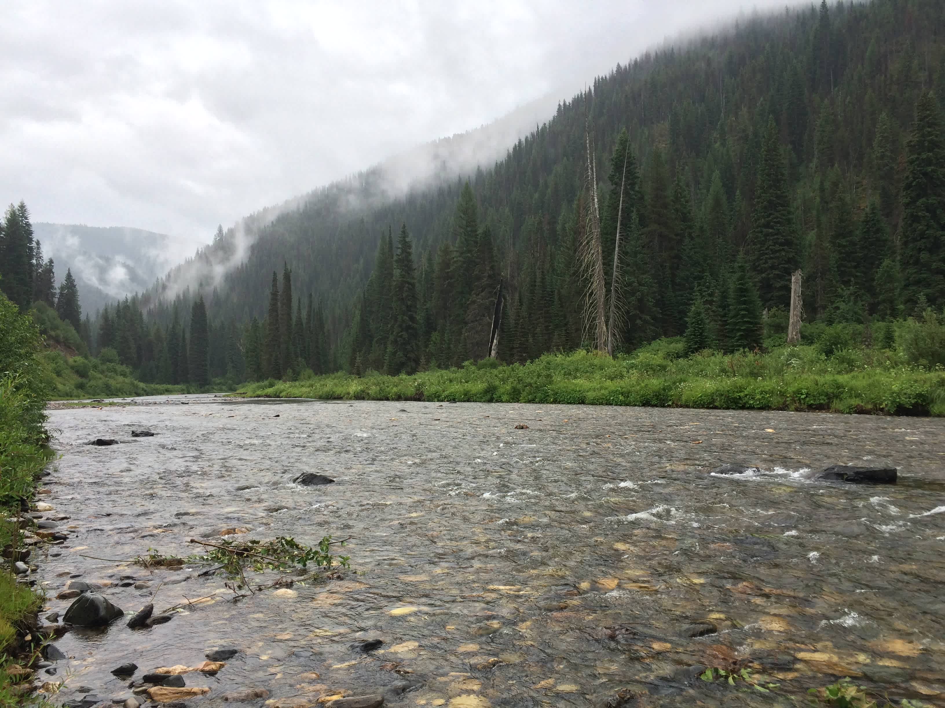 A much needy rainy day on the St. Joe River this summer near Fly Flat Campground after several weeks of devastating fires in the region.  