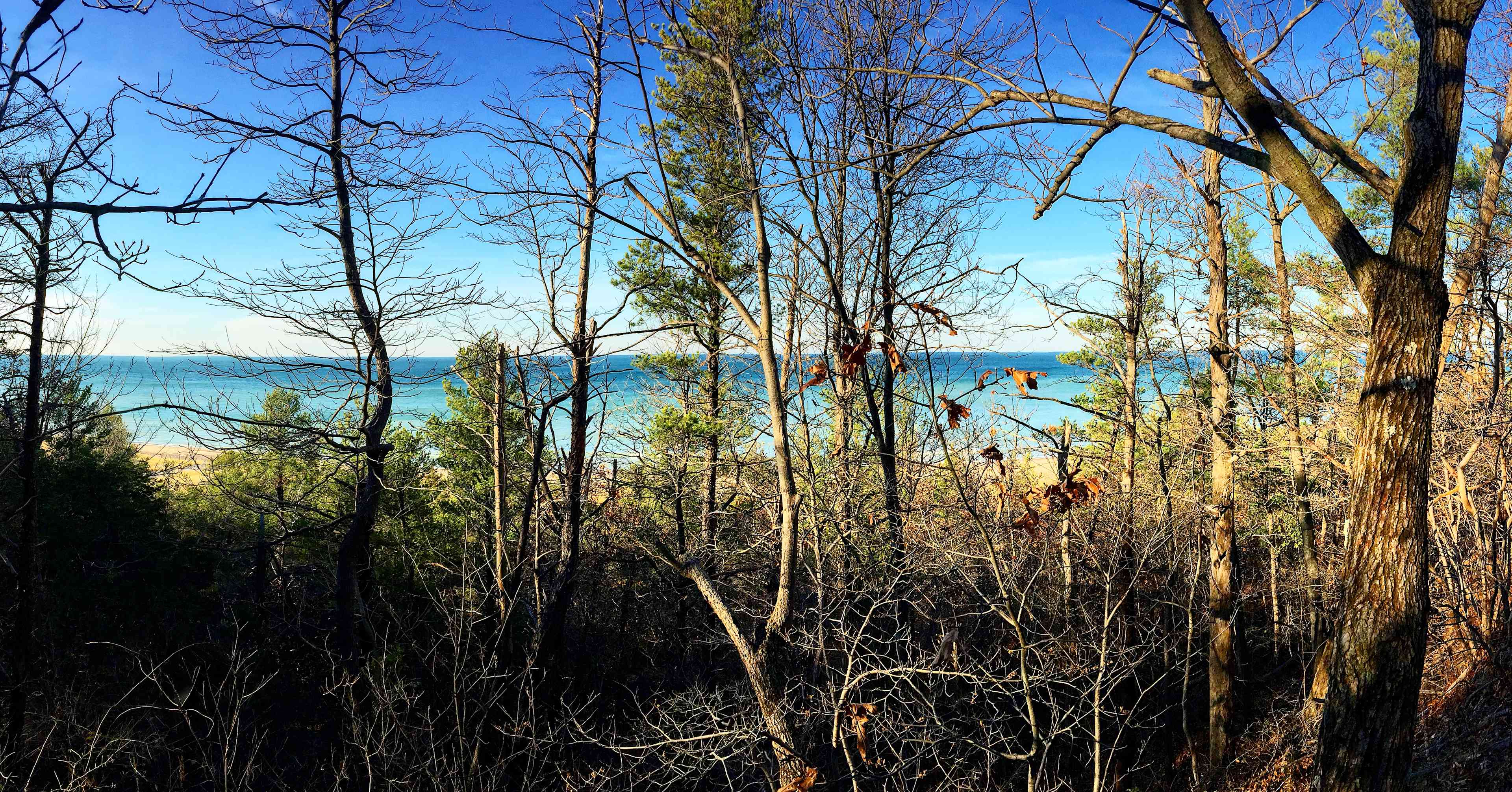 Dune top view was amazing! You could see the Chicago skyline 