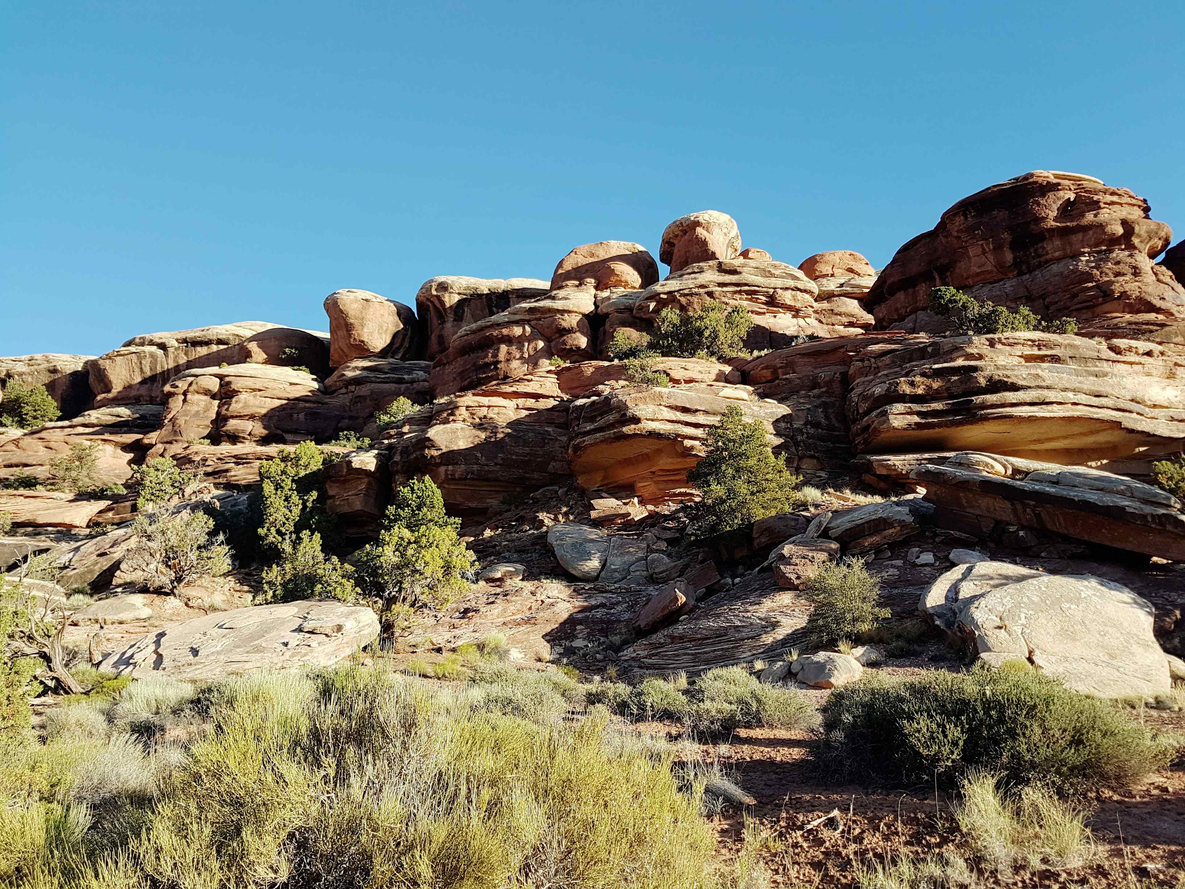 Squaw Flat Campground