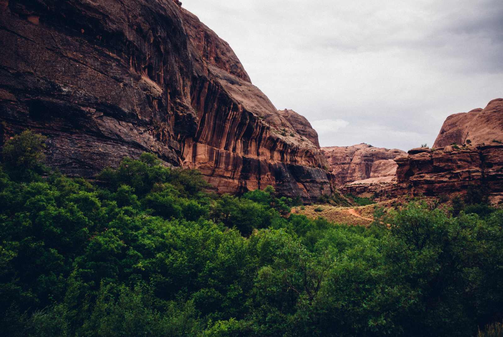 A view down Negro Bill Canyon--just down the road from camp.