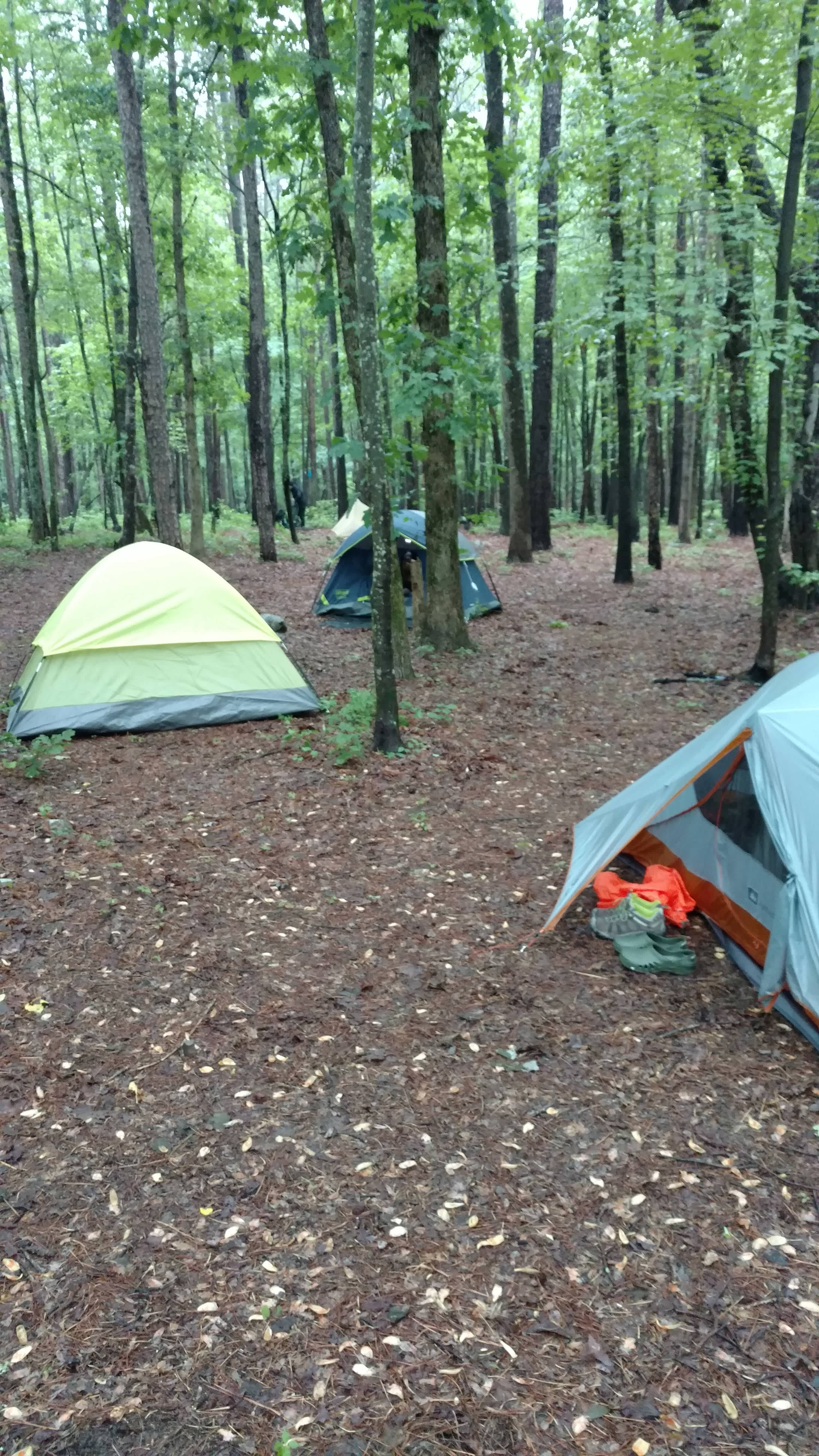 Yates Place Camp